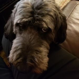 Meet your Posher, Deena